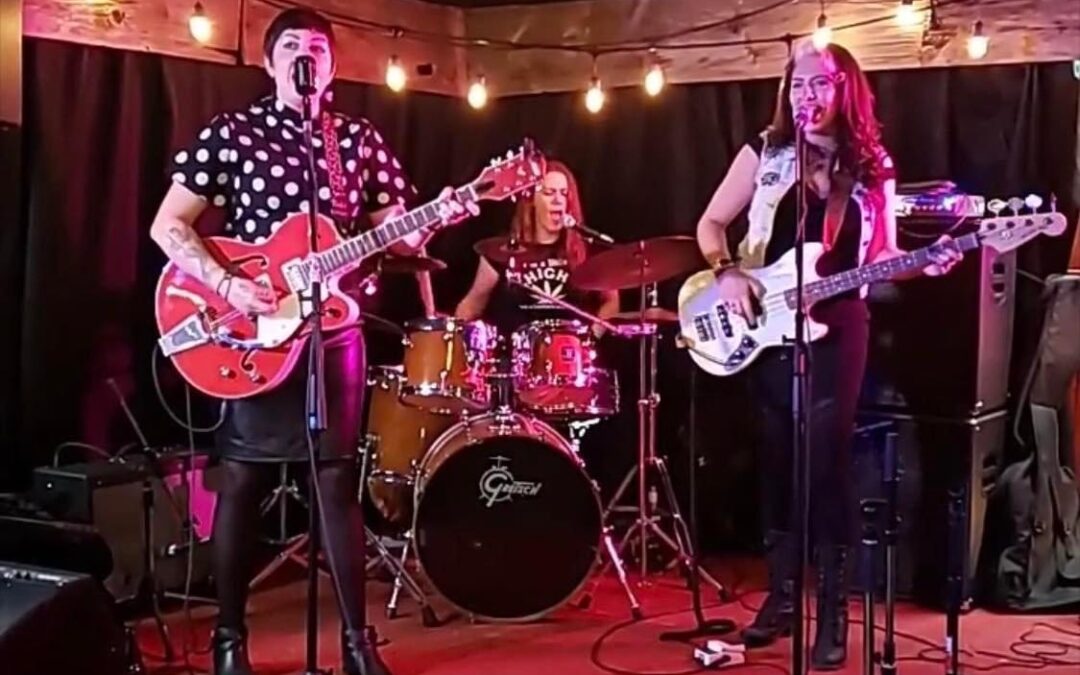 The Bleeding Idahos w/ Brother Superior, The Barettas, Burn The Louvre